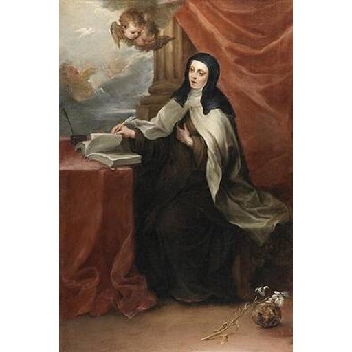 Maria Teresa Ferragut Roig