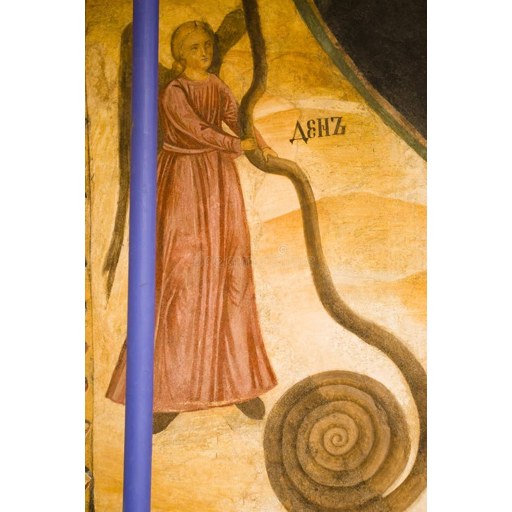 Bassus